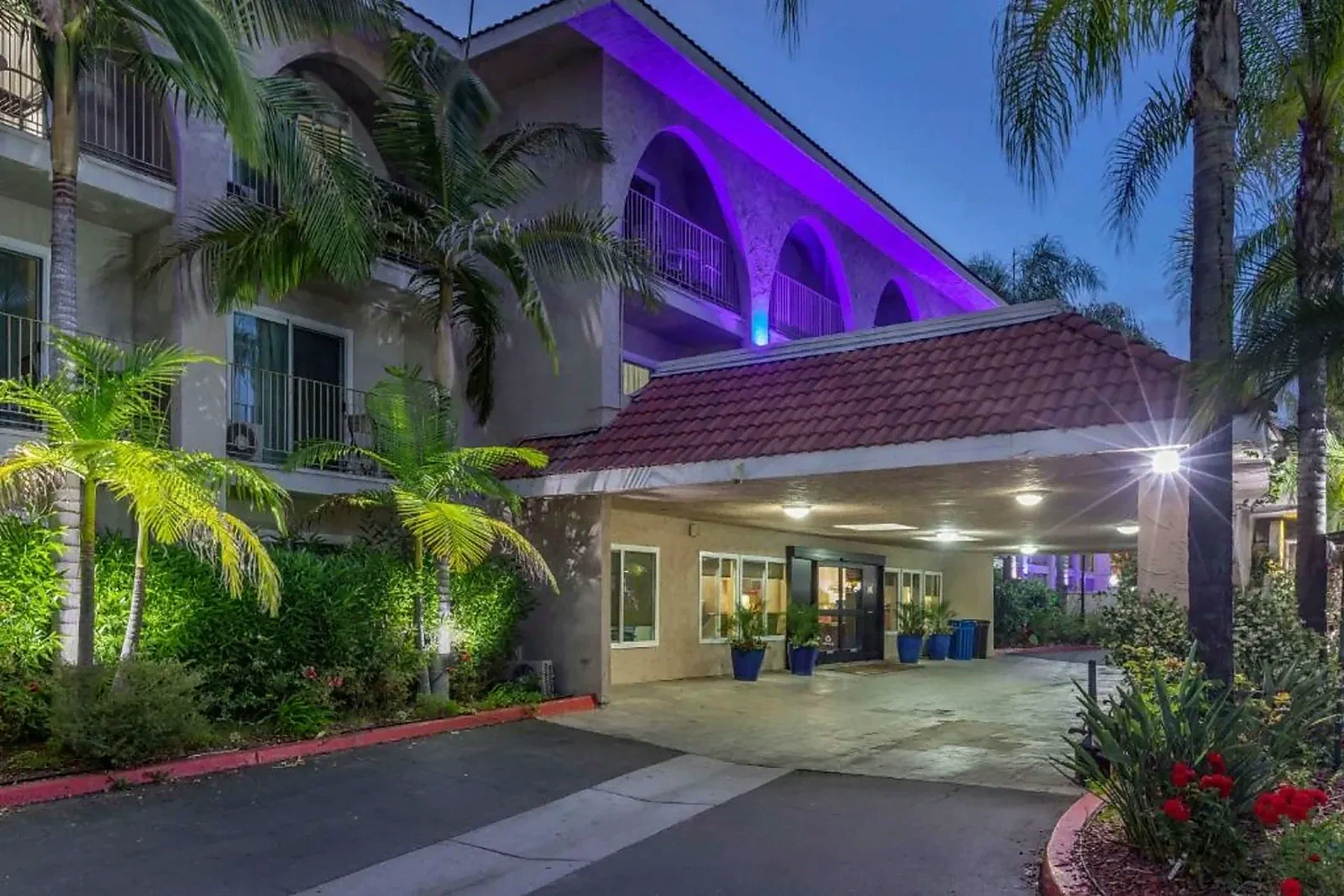 Exterior Night View